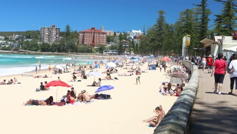 Playa-Varonil-Día-De-Australia-Playa-Soleada-Nueva-Gales-Del-Sur