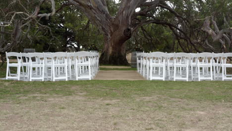 Low-Dolly-In-Outdoor-Empty-Wedding-Ceremony-Setting-Under-Large-Tree