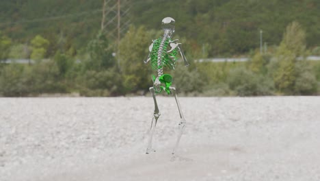 Skeleton-kick-green--nature-