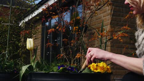 Woman-gardening-basket-of-flowers-in-medium-zoom-shot-slow-motion-portrait