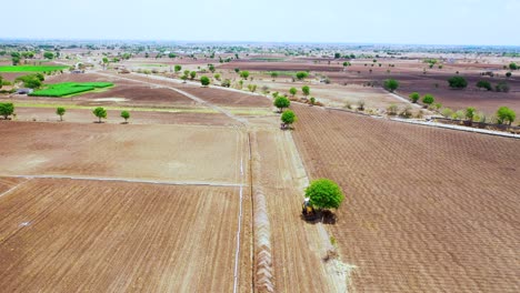 Aerial-camera-moving-forward-above-the-Indian-agricultural-land-at-hot-summer-time,-summer-season