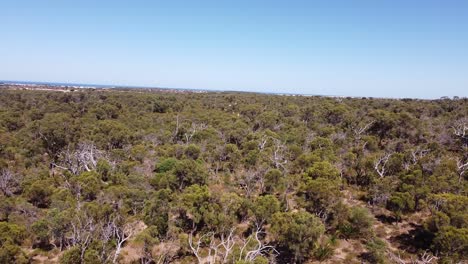 Schwenk-Nach-Links,-Blick-über-Buschland-Mit-Meer-Im-Hintergrund,-Joondalup,-Perth,-Australien