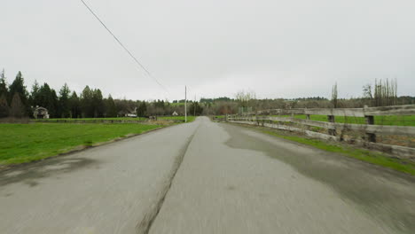 Fast-moving-aerial-shot-of-long-dirt-road-with-trees-on-either-side