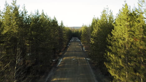 Fast-moving-aerial-shot-of-long-dirt-road-with-trees-on-either-side