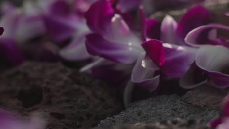 Beautiful-close-up-shot-of-lei-flowers-on-rocks-in-Hawaii