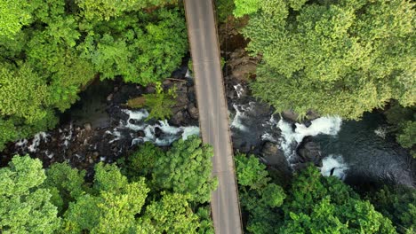 Vertical-perspective-of-car-crossing-bridge-in-tropical-green-nature