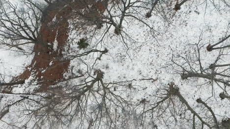 Aerial-shot-of-empty-winter-forest-on-the-shores-of-a-frozen-snow-covered-lake