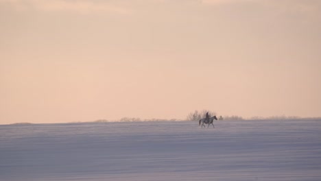 Wide-panoramic-shot-of-a-woman-riding-a-horse-in-a-snowed-field-during-the-sunset