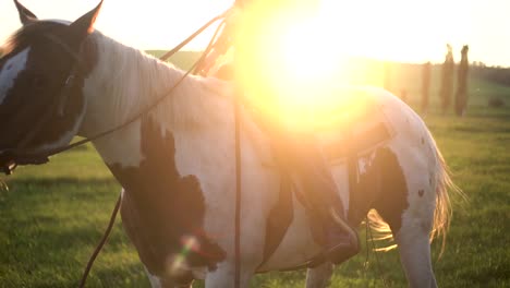 Cowgirl-Reitet-Auf-Einem-Pferd-Mit-Dem-Sonnenuntergang-Im-Hintergrund-In-Zeitlupe