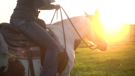 Seitenansicht-Einer-Frau,-Die-Auf-Einem-Schönen-Pferd-Reitet,-Mit-Einem-Sonnenuntergang-Dahinter-In-Zeitlupe