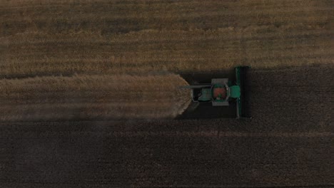 Aerial-top-down-view-large-combine-harvesting-cereal-grains-frm-golden-field