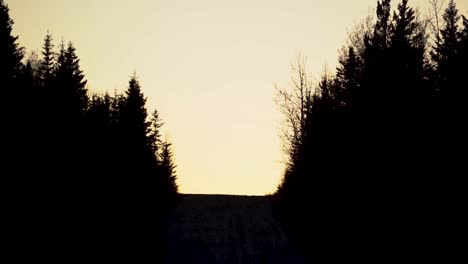 Orange-sky-with-the-silhouette-of-pines-on-the-sides-of-a-road