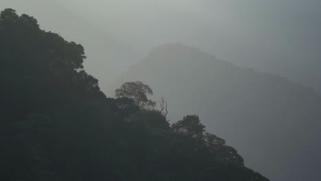 Beautiful-misty-amazon-jungle-tree-canopy-on-mountainside,-slow-motion,-pan-right