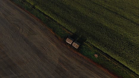 Luftaufnahme-Von-Zwei-Verschiedenen-Angrenzenden-Weizen--Und-Erbsenfeldern-In-Der-Landschaft-Von-Alberta,-Kanada