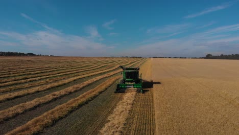 4k-aerial-frontal-drone-view-of-a-modern-combine-harvesting-wheat-crop-in-Alberta,-Canada