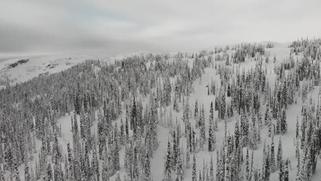Aerial-view-of-a-snowed-forest-in-Revelstoke-British-Columbia,-Canada
