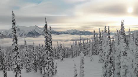 Aerial-ascending-shot-of-a-snowed-forest-with-a-sunset-in-the-National-Park-of-Revelstoke-in-British-Columbia