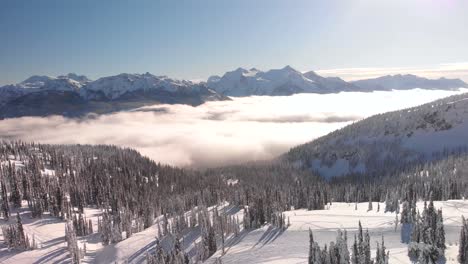 Beautiful-aerial-shot-of-a-snowed-forest-with-the-Canadian-Rockies-on-the-horizon-in-Revelstoke,-British-Columbia