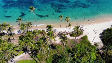 Aerial-view-towards-palm-trees-on-a-beach,-in-Tayrona,-Colombia---descending,-drone-shot