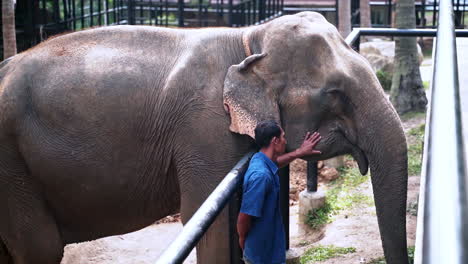 Elefantenschutzgebietswärter-Kratzt-Elefanten-In-Der-Ausstellung,-Thailand