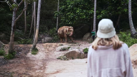 Woman-traveler-approaching-elephant-sanctuary-keeper-training-elephant