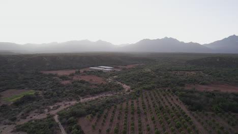 Trockene,-Karge-Landschaft-Mit-Bauernhöfen-Und-Landwirtschaft-In-Einer-Mexikanischen-Wüste-In-Los-Cabos,-Mexiko