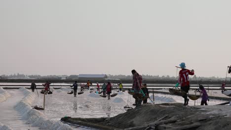 Farmers-Collecting-Sea-Salt-with-Wooden-Scoop-Empties-onto-a-Pile-for-Collection-Thailand