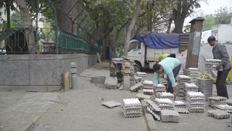 Men-sorting-egg-trays-made-of-cardboard-on-the-roadside,-India
