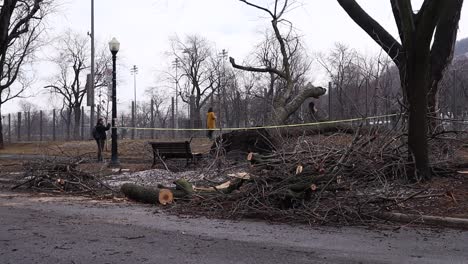 Two-people-hanging-near-tree-debris-in-a-cordoned-area-in-park