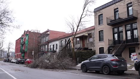 Tilt-down-shot-of-residential-neighborhood-with-a-fallen-tree