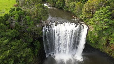 Rainbow-Falls-aerial-reveal-of-waterfall,-riverbank-and-scenery-of-forest-and-New-Zealand-landscape