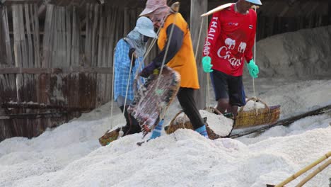 Farmers-Collecting-Sea-Salt-with-Wooden-Scoop-Empties-onto-a-Pile-for-Collection-Thailand