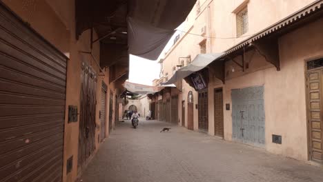 Eine-Gasse-In-Marrakesch,-Marokko-Mit-Einer-Streunenden-Katze-Und-Einem-Motorradfahrer