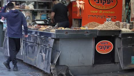 Trockenobstverkäuferladen-Auf-Den-Straßen-Des-Jerusalemer-Marktes