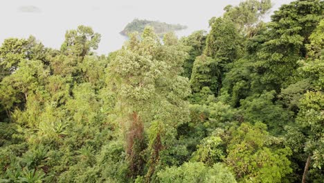 Aerial-of-rain-forest-and-island-in-South-East-Asia,-Wide-angle,-birds-eye-view