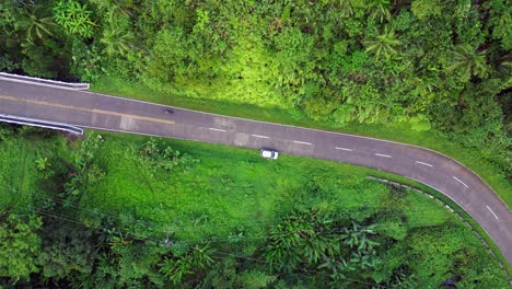 Descending-top-down-aerial-view-of-motorbike-rounding-corner-in-green-jungle-road