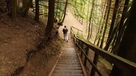 Hand-held-shot-of-a-young-girl-walking-down-a-set-of-stairs-in-a-forest