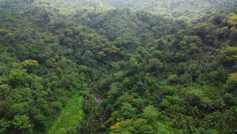 Tropical-fields-and-forest-jungle-with-lights-streaming-down-on-hidden-river,-aerial-dolly