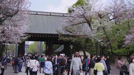 Flor-De-Sakura-Sobre-La-Entrada-Al-Santuario-Yasukuni