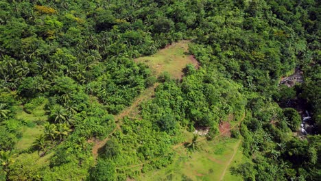 Aerial-overview-of-tropical-jungle,-grassy-fields,-palm-trees,-and-river