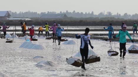 Farmer-Collecting-Sea-Salt-with-Wooden-Scoop-Empties-onto-a-Pile-for-Collection-Thailand