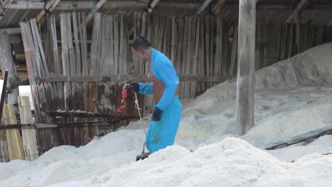 Farmer-Collecting-Sea-Salt-with-Wooden-Scoop-Empties-onto-a-Pile-for-Collection