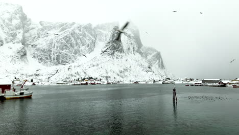 Seagulls-flying-over-Reine-fishing-village-harbor-of-Lofoten-islands-in-northern-Norway-and-in-winter-season-with-snowcapped-mountains-and-foggy-sky