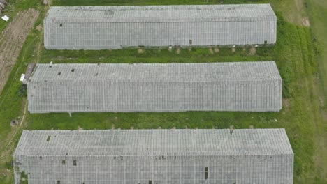 Greenhouses-Lined-Up-In-A-Row-In-Green-Field---aerial-top-down