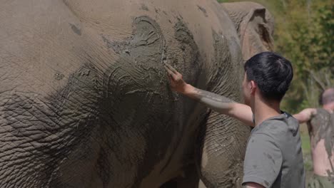 Zeitlupenaufnahme-Eines-Männlichen-Freiwilligen,-Der-Einen-Elefanten-Mit-Schlammbad-Nimmt,-Chiang-Mai,-Elefantenschutzgebiet