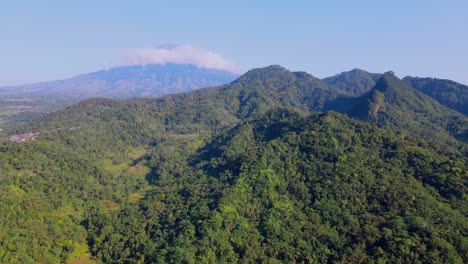 Aerial-view-of-landscape-tropical-rain-forest-jungle-with-mountain-on-the-background,-Sumbing-Mountain,-Indonesia