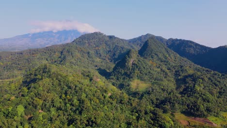 Aerial-view-green-tropical-forest-on-hills
