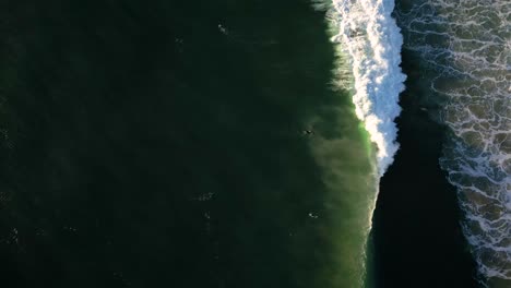 Top-down-aerial-over-Burleigh-Heads-surf,-Gold-Coast,-Australia