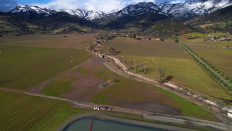 Aerial-push-back-of-vineyards-to-reveal-snowy-white-Napa-Valley-mountains