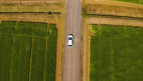Car-Driving-Through-Rice-Fields,-Top-Down-View,-Countryside-of-Japan
